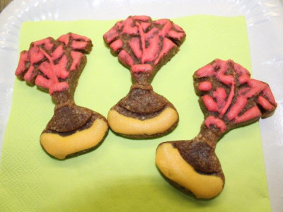 Idiaca Mixed + Herren 40+ November 16 bis Februrar 17_6