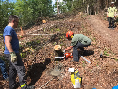 Unterhalt Vitaparcours 2022_1