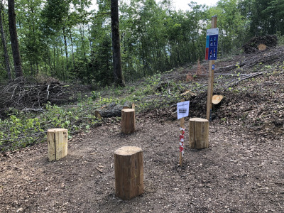 Unterhalt Vitaparcours 2022_30