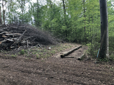 Unterhalt Vitaparcours 2022_6