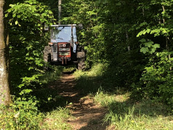 Unterhalt Vitaparcours 2022_7