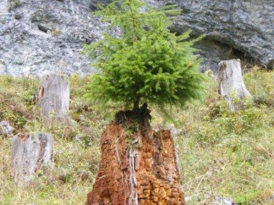 Vereinsreise 2016_10