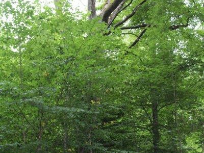 Vita Parcours Unterhalt 2017 / 18_2